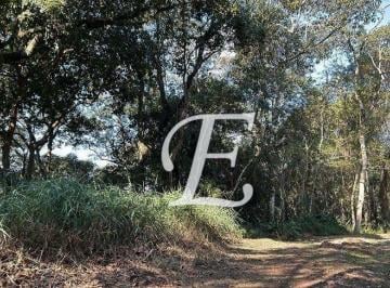 be982d93a70c013ffc77d623dbb66f8144380931 · Terreno à venda, 1200 m² por R$ 270.000,00 - Serra da Cantareira - Mairiporã/SP