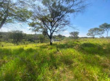 Terreno · 114000m² · Terreno à venda - na Casa Amarela