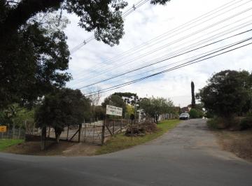 Terreno · Terreno à venda - em São Lourenço