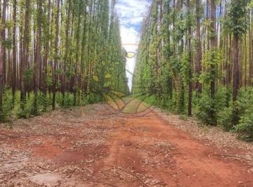 Foto 01 · EXCELENTE! FAZENDA DE EUCALIPTO NO INTERIOR DE BELO HORIZONTE - MG  FA00271