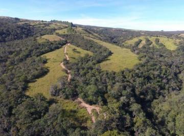 Rural , Cocalzinho de Goiás · FAZENDA COM 223 HECTARES COCALZINHO APENAS 5 KM DE CHÃO.