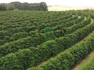 Rural · 1040m² · Extraordinária fazenda de 1040 ha com café e lavouras em Araxá MG