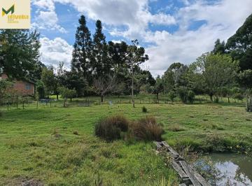 Rural · 12ha · 4 Quartos · Sítio no asfalto entre Canela e São Chico!!