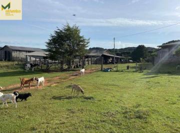 Rural · 6ha · Sítio com 6 há e toda estrutura!!