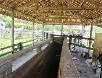503e6525d5bb98d62983839a894106864da4a1ee · Fazenda à venda, 20000000 m² por R$ 22.000.000 - Zona Rural - Miranda/MS
