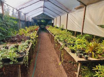 Rural de 8 quartos, Macaíba · Excelente granja - Sítio - Produção de plantas.