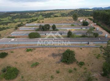 202501162255486853.jpg · Sítio para Venda em Anhembi, Area Rural