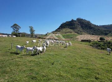 202501162228275069.jpg · Sítio para Venda em Bofete, Area Rural