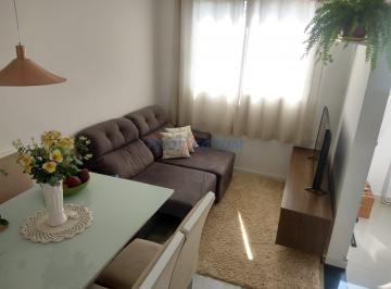 0 · apartamento à venda em Parque das Constelações