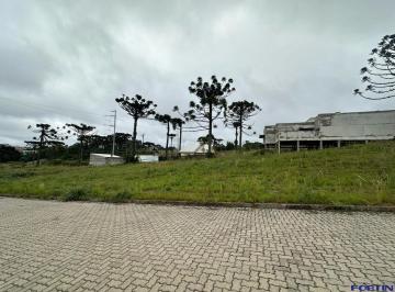 36056317_g.jpg · 
                                Terreno a vendo no loteamento Villa Di Mantova 
                   