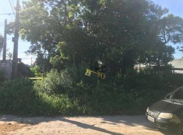 2a6aa1b8da1b6a1645def1162d400f1c6fb5833c · Terreno à venda, 336 m² por R$ 90.000,00 - Jardim das Palmeiras - Itanhaém/SP