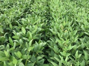 97beb3b4664a6ecfda0e9ca98e39b16970a3143c · Fazenda especializada em produtos orgânicos.