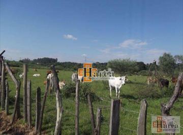 88c06775a69077194229cc8bc811b4225ef0baa9 · Área Industrial à venda, Jardim Boa Esperança, Sorocaba - AR0042.