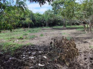202504061125201321.jpg · Terreno para Venda em Caraguatatuba, Balneário Recanto do Sol