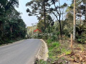 Rural · 2500m² · 1 Quarto · Chácara em Estrada Geral da Carapina - Vale do Carapina - São Francisco de Paula/RS