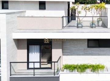 Hol külotlarda mushuk