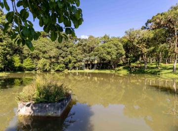 Rural · 242000m² · 3 Quartos · 6 Vagas · Sítio com 10 Alqueires a 30 Min de Curitiba – Estr
