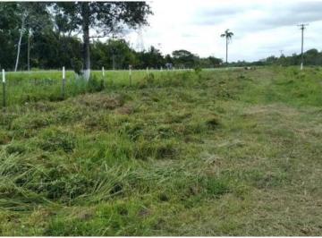 202504032118318302.png · Área Urbana 484.000m² Ideal Para  Loteamento Situada Em Iguape SP