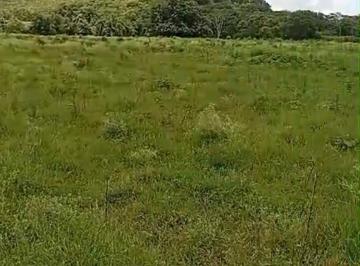 Rural · 67ha · 1 Quarto · FAZENDA com 67 hectares, dupla aptidão, margem do Rio das velhas