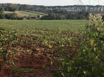 Terreno · 253072m² · Terreno à venda - na Zona Rural