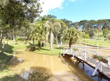 Foto 01 · Chacara, Avenquinha, Campo Alegre, SC