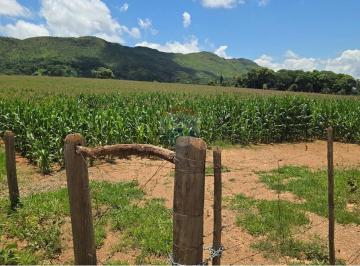 Rural · 450000m² · 1 Quarto · Sitio com 45 hectares na Serra da Canastra - Delfinópolis MG