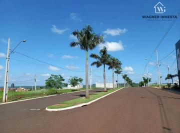 Terreno · 320m² · Terreno em Jardim Nova Floresta, Floresta/PR de 320m² à venda por R$ 110.000,00