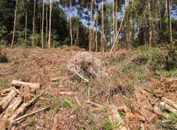 687658_ikhqG4_68765867e19a2bebd13.jpg · Chácara em Nova Petrópolis na serra gaúcha