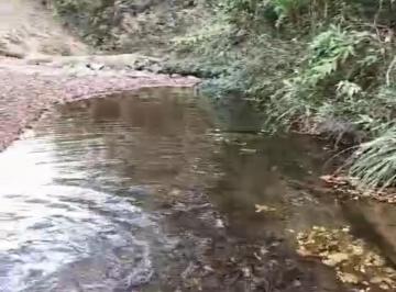Rural , Ceilândia · VENDO CHÁCARA NA DF190 COM BELÍSSIMA VISTA COM 60.000 mil2-Ac imóvel e proposta!