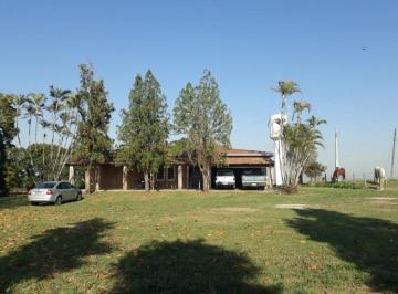 Foto 01 · Fazenda 81,5 Alqueires, 56 Alqueires em Cana, Usina Grupo Zambianco 40 Toneladas 10 Alqueires em Grã