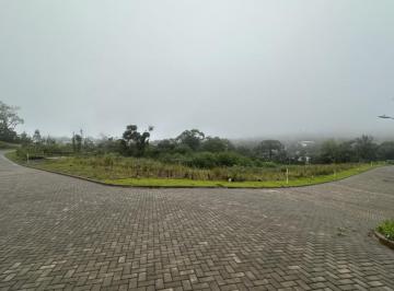 755118.jpg · Terreno - Bairro Várzea Grande