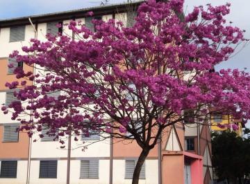 Apartamento · 46m² · 2 Quartos · 1 Vaga · Apartamento à venda, Morro Branco, Itaquaquecetuba, SP