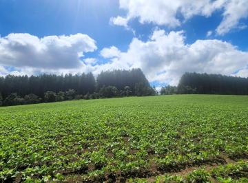 Rural , Irati · Fazenda Irati