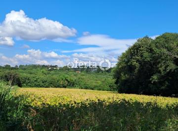 Rural · 24200m² · OFERTA 1479 - CHÁCARA EM ARAUCÁRIA 