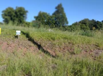 202504071733519239.jpg · Terreno para Venda em Santa Cruz do Sul, castelo branco
