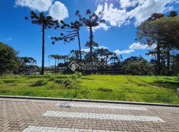 694844_i758vHBo2JX4B525Z1G61_69484467d474ed40e0c.jpg · TERRENO RESIDENCIAL EM LOTEAMENTO NOVO DE CANELA!!