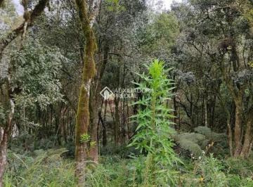 653546_iav6J_6535466747853c44224.jpg · TERRENO À VENDA EM  CANELA.