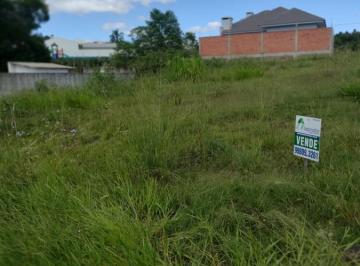 202504071822149928.jpg · Terreno para Venda em Santa Cruz do Sul, castelo branco