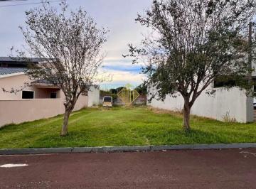 Terreno · 390m² · Terreno à venda, Parque Verde - Cascavel/PR