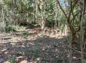 Terreno · 4241m² · TERRENO PARA VENDA NO CHAMPIRRA - JUNDIAÍ/SP