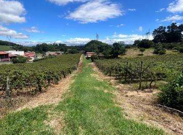Terreno · 24200m² · 4 Vagas · ÁREA RURAL PARA VENDA NO BAIRRO TRAVIÚ - JUNDIAÍ/SP