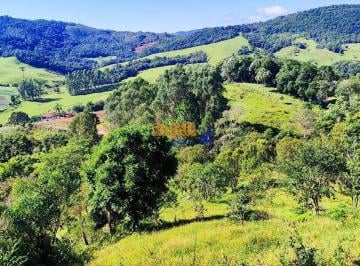 6vtgcpu2n2yzzduwzdbiowzl_md · Sitio Rancho Queimado -SC, riacho nascentes araucárias e linda vista 25.770 M 2