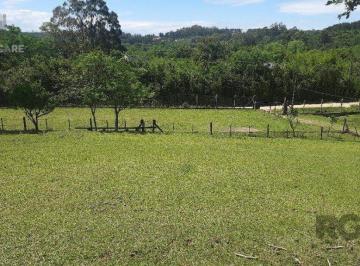 Rural · 41m² · 3 Quartos · Rurais à venda - em Passo da Branquinha