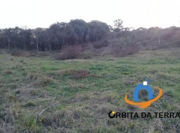 Foto 01 · Chácara à venda em Colombo-PR: Terreno amplo e arborizado no bairro Campestre!