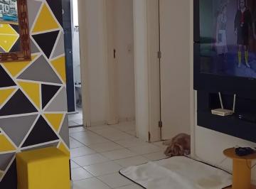 Apartamento · 49m² · 2 Quartos · 1 Vaga · Apartamento à venda - em Terra Preta