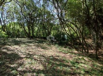 689715_i3762477sH9_68971567f42136139c3.jpg · Terreno plano, com riacho, espera pra luz e espera pra água