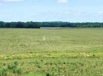 700444_iI4K2Kd_70044468288b6363923.jpg · FAZENDA COM 434 HECTARES, ÁGUA EM ABUNDÂNCIA PRÓXIMA STA CRUZ/RS