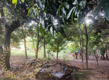 Foto 01 · Chácara a venda em Jundiai, chácara a venda em Louveira, chácara rua asfaltada, chácara em meio a na