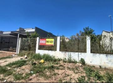 202604251206535822.jpg · Terreno Residencial para Venda em Fazenda Rio Grande, JARDIM VENEZA