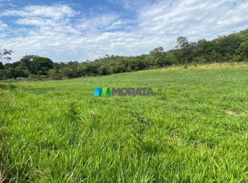 7911_i67YV52JdI3D4o2M7_791167f68377de858.jpg · Imoveis - em Serra do Cipó